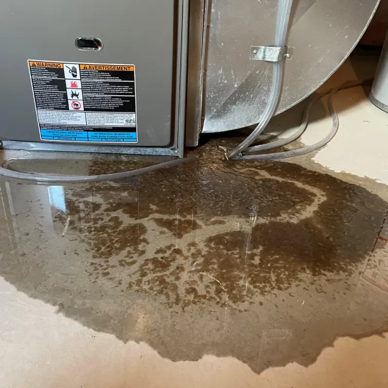 Appliance Leak Cleanup in Williston, VT